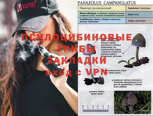 меф Алексеевка