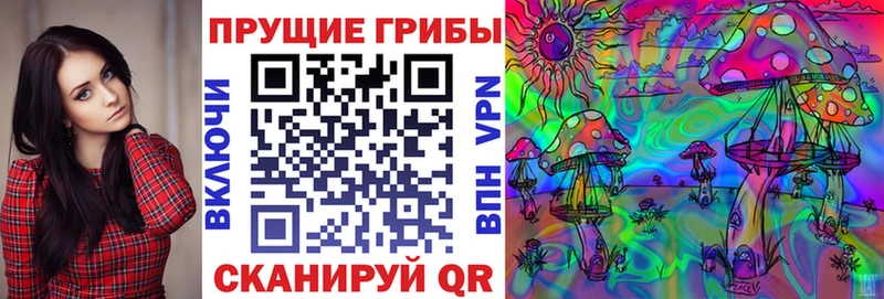 blacksprut как зайти  купить  цена  Приморско-Ахтарск  Галлюциногенные грибы Magic Shrooms 